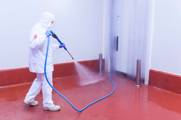Best Warehouse Cleaning  in Hurley, NM